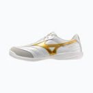 Mizuno track shoes