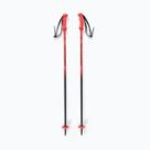 Rossignol ski poles
