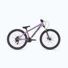 Youth bicycles