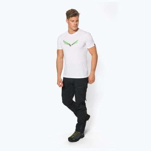 Men's Salewa Lines Graphic Dry trekking shirt white 00-0000028065