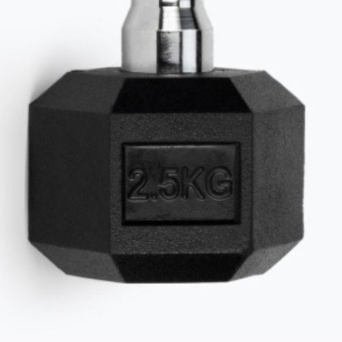 XTREXO Hex HXD25 rubberised dumbbell 2.5 kg