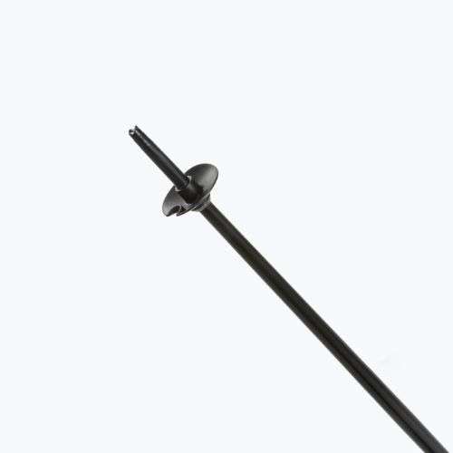 Fizan Action Pro black ski poles