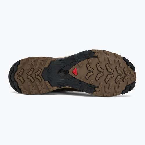 Men's running shoes Salomon XA Pro 3D V9 falcon/desert tan/black