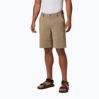 Columbia Tech Trail 221 men's trekking shorts beige 1883371