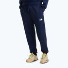 Men's trekking trousers The North Face Simple Dome Light Regular Tapered Jogger summit navy