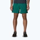 Men's shorts Patagonia Baggies 5" 95 oval logo/gem green