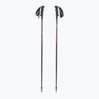 Ski poles LEKI Hot Shot anodized black/eloxal gray/eloxal red