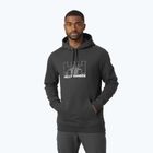 Men's trekking sweatshirt Helly Hansen Nord Graphic Pull Over grey 62975_981