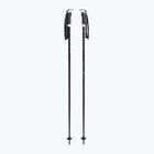 Fizan Action Pro black ski poles