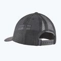 Patagonia P-6 Logo LoPro Trucker cap forge grey 2