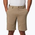 Columbia Tech Trail 221 men's trekking shorts beige 1883371 3