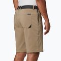 Columbia Tech Trail 221 men's trekking shorts beige 1883371 4