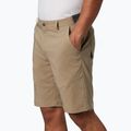 Columbia Tech Trail 221 men's trekking shorts beige 1883371 5