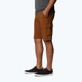 Columbia Silver Ridge II Cargo 235 brown men's trekking shorts 1794921 3