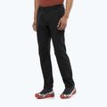 Men's trekking trousers Salomon Wayfarer Warm deep black