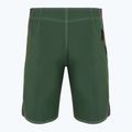 Quiksilver Saturn Flight 20" Forest men's swim shorts 7
