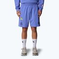 The North Face Mountain Cleanup Relaxed virtual blue shorts