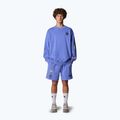 The North Face Mountain Cleanup Relaxed virtual blue shorts 2