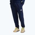 Men's trekking trousers The North Face Simple Dome Light Regular Tapered Jogger summit navy