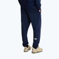 Men's trekking trousers The North Face Simple Dome Light Regular Tapered Jogger summit navy 3