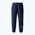Men's trekking trousers The North Face Simple Dome Light Regular Tapered Jogger summit navy 5