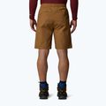Men's shorts The North Face Limestone utility brown 3