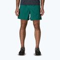 Men's shorts Patagonia Baggies 5" 95 oval logo/gem green