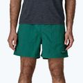 Men's shorts Patagonia Baggies 5" 95 oval logo/gem green 4