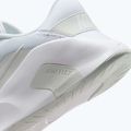 Men's training shoes Nike Flex Train white/photon dust/white 9