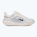 Men's running shoes Nike Pegasus 41 GTX sail/football grey/sundial/ashen slate 2