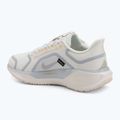 Men's running shoes Nike Pegasus 41 GTX sail/football grey/sundial/ashen slate 3
