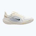 Men's running shoes Nike Pegasus 41 GTX sail/football grey/sundial/ashen slate 8