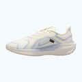 Men's running shoes Nike Pegasus 41 GTX sail/football grey/sundial/ashen slate 9