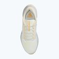 Men's running shoes Nike Pegasus 41 GTX sail/football grey/sundial/ashen slate 10