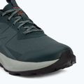 Men's hiking boots Salomon Elixir Activ GTX scarab/green gable 7