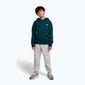 Children's sweatshirt New Balance Brush Back Small Logo Hoodie medusa green 2