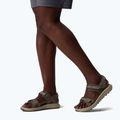 Women's sandals Columbia Konos Hiker 2-Strap wet sand/marine light 8