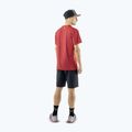 Men's trekking shorts DYNAFIT Transalper Light Dynastretch black out/0730 3