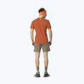 Men's trekking T-shirt DYNAFIT Traverse 2 alabama 3