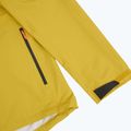 Men's rain jacket Salewa Puez Aqua 4 PTX 2.5L olive oil/0910 4