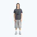 Alpha Industries men's t-shirt Hawaii vintage grey 2