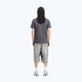 Alpha Industries men's t-shirt Hawaii vintage grey 3