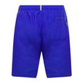 Hugo Boss Orca men's swim shorts blue 50469614-433 2