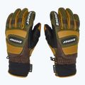 Men's ski glove ZIENER Guard GTX + Gore Grip PR alpine dark/brown 4