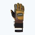Men's ski glove ZIENER Guard GTX + Gore Grip PR alpine dark/brown 8