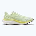 Men's running shoes PUMA Electrify Nitro 4 green 9
