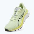 Men's running shoes PUMA Electrify Nitro 4 green 10