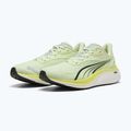 Men's running shoes PUMA Electrify Nitro 4 green 11