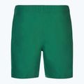 Men's Nike Essential 7" Volley bicoastal swim shorts 2