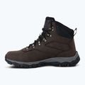 Men's trekking boots REGATTA Holcombe peat 10